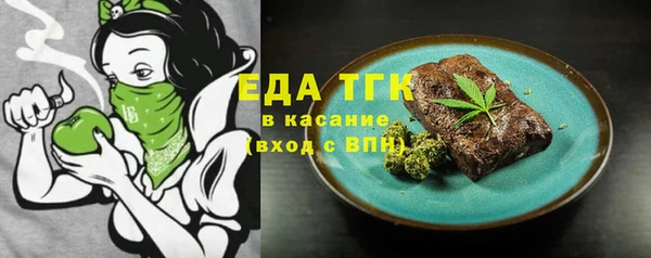 индика Бородино
