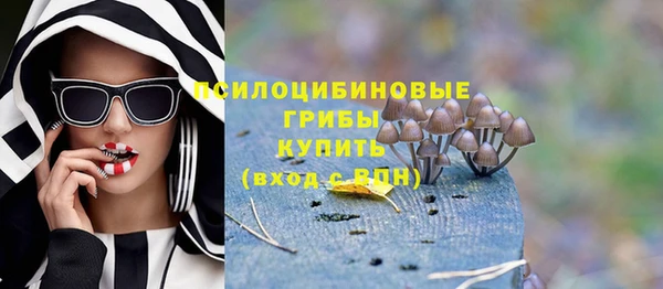 прущие грибы Богородск