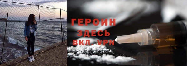 индика Бородино
