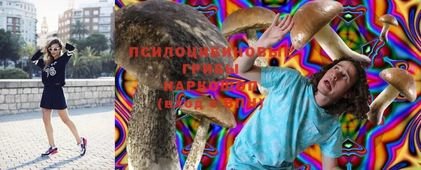 индика Бородино