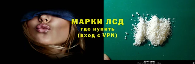 прущие грибы Богородск
