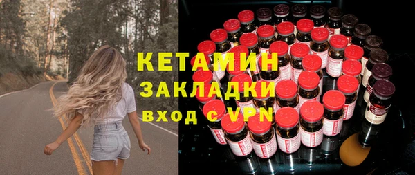 индика Бородино