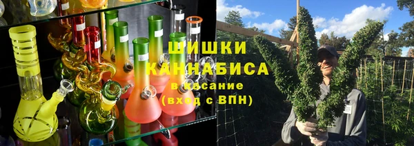 прущие грибы Богородск