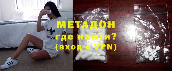 индика Бородино
